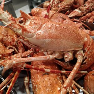 48957877_2428955380451136_7636578115736567808_n