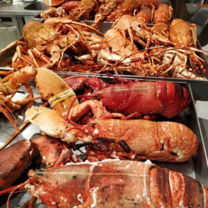 49085584_2428955517117789_2896823310778105856_n-2