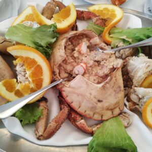 66636961_2741236402556364_916483937214136320_n